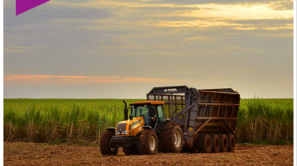 Raízen recebe nova certificação Bonsucro e se consolida como maior produtora de cana-de-açúcar sustentável com o reconhecimento