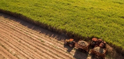 Tereos faz hedge de 80% da produção de açúcar e prevê início antecipado da safra no Brasil