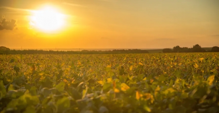 Em Mato Grosso do Sul, as temperaturas máximas podem passar dos 36°C — Foto: Getty Images/Canva