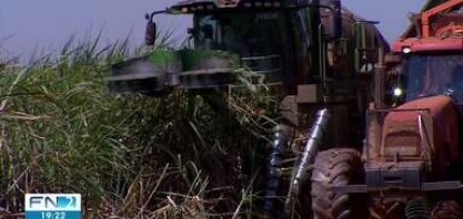 Usina da região faz investimentos para garantir boa colheita na safra de cana-de-açúcar