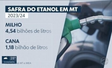 Balanço da safra aponta que Mato Grosso é o segundo estado que mais produz etanol no Brasi