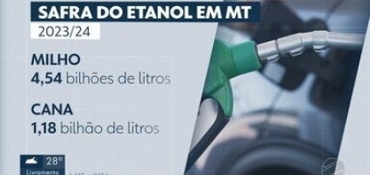 Balanço da safra aponta que Mato Grosso é o segundo estado que mais produz etanol no Brasi