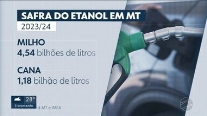 Balanço da safra aponta que Mato Grosso é o segundo estado que mais produz etanol no Brasi