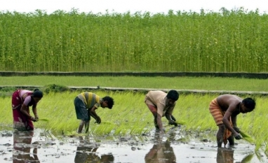 Previsão de chuvas acima da média na Índia impulsiona perspectivas agrícolas