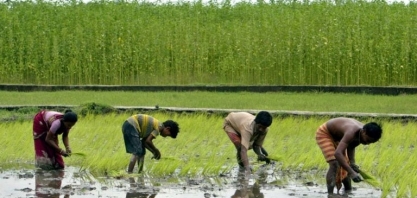 Previsão de chuvas acima da média na Índia impulsiona perspectivas agrícolas