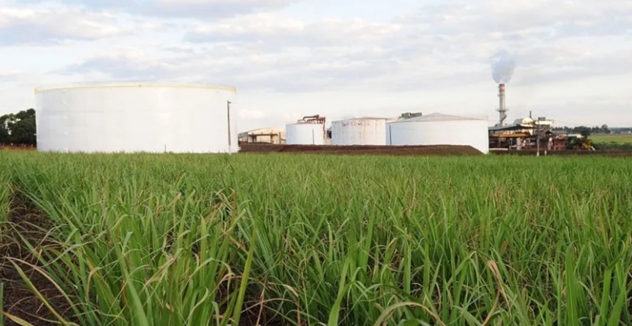 Algumas usinas da região Centro-Sul retomaram a moagem e voltaram a ofertar etanol — Foto: Editora Globo