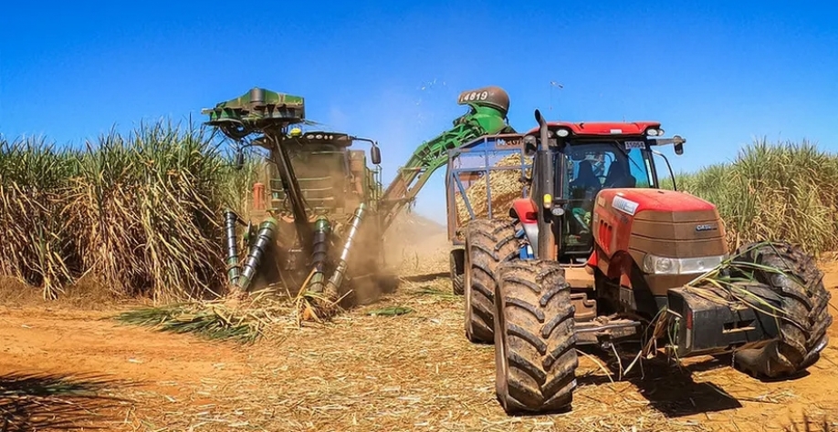 Colheita e a moagem da cana-de-açúcar da safra 2024/25 seguem sem interrupções — Foto: Wenderson Araujo/CNA