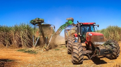 Preços do açúcar e do etanol caíram na última semana