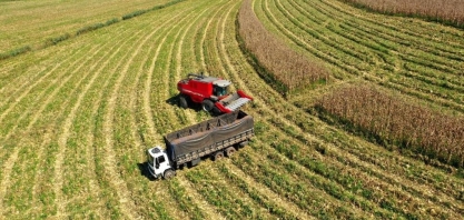 Balança Comercial do Agro Paulista registra alta de 23,4% no primeiro trimestre de 2024