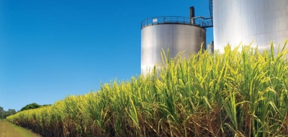 Rumo à sustentabilidade: Mário Campos, da Bioenergia Brasil, adianta discussões do GAF 2024