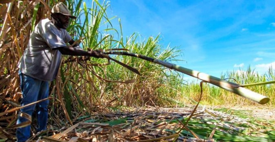 Crédito: Diego Vargas/Seapa