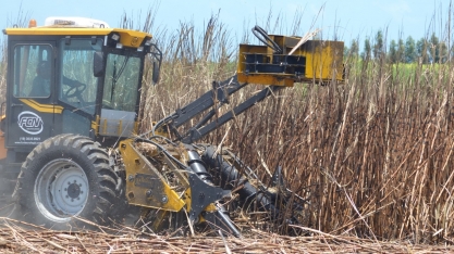 Sindaçúcar-AL: boletim atualiza números da safra 23/24 com moagem acumulada de 19,5 mi de toneladas de cana