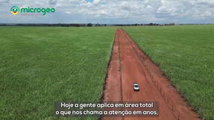 Produtor de Angélica (MS) colhe benefícios de manejo biológico com Microgeo