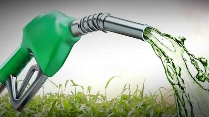 O RenovaBio e a hipocrisia que permeia a sustentabilidade no Brasil