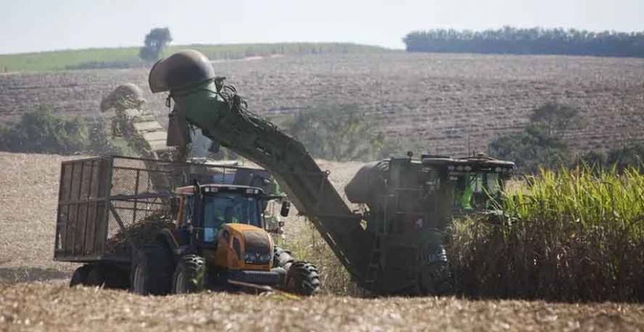 A moagem de cana-de-açúcar começou oficialmente no dia 1 de abril — Foto: Marcelo Min / Ed.Globo