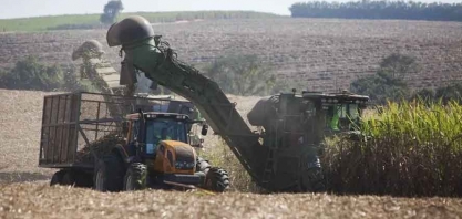 Nova safra de cana começa com preços do etanol e do açúcar em alta