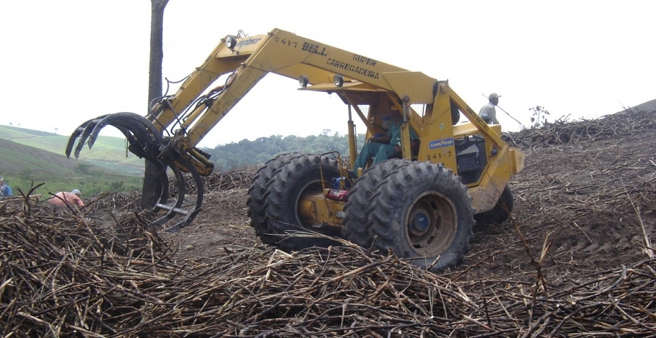 Safra 23/24 - Foto: Assessoria