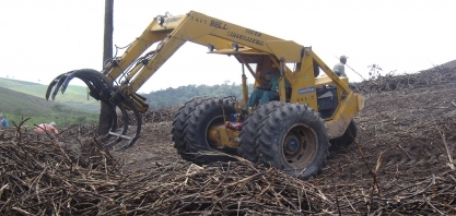 Sindaçúcar-AL: fornecedores já beneficiaram mais de 7,4 milhões de toneladas de cana na safra 23/24