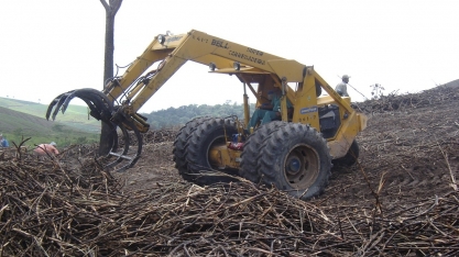 Sindaçúcar-AL: fornecedores já beneficiaram mais de 7,4 milhões de toneladas de cana na safra 23/24