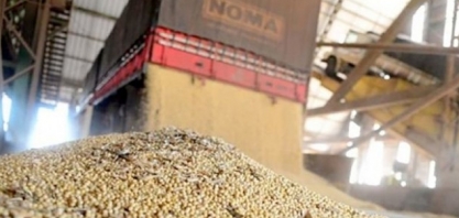 Brasil volta a exportar biodiesel em março