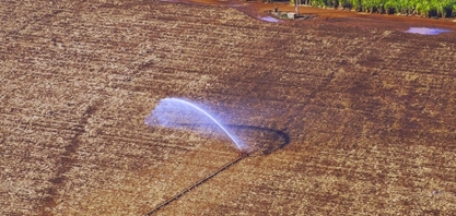Agricultura sustentável: como funciona na prática?