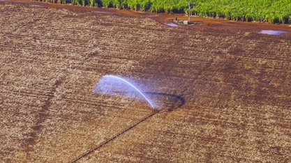 Agricultura sustentável: como funciona na prática?