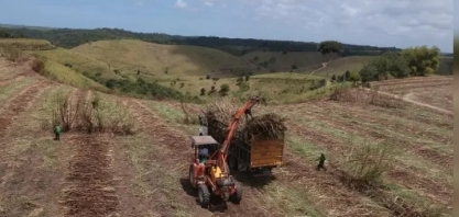 Safra 23/24 termina em AL: moagem supera 19 mi de toneladas de cana