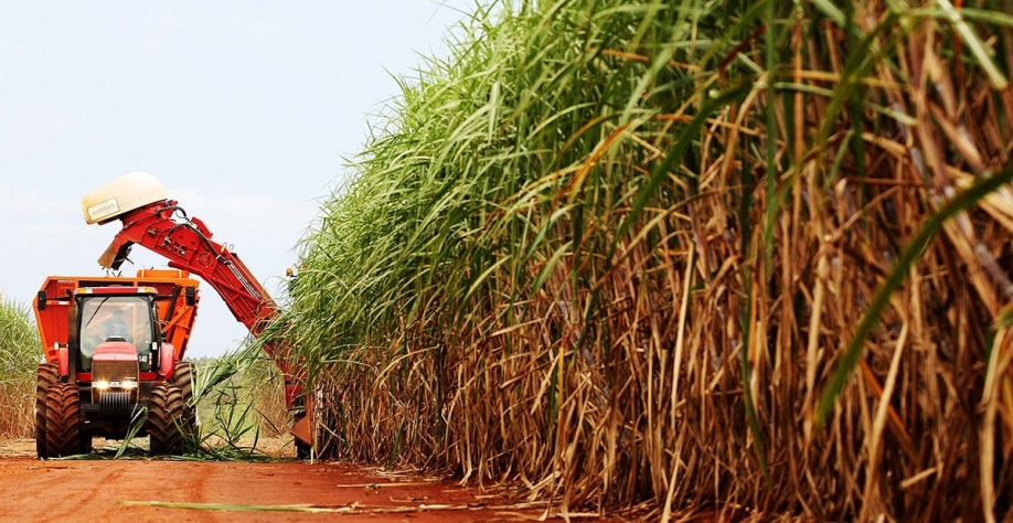 Crédito: Cristiano Mariz