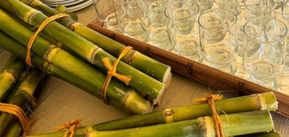 Usinas Batatais e Cevasa promovem II Encontro Técnico para fornecedores de cana-de-açúcar