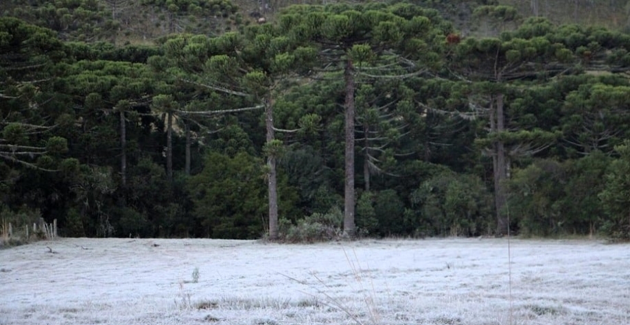 Foto: Mycchel Legnaghi