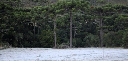 Primeira geada de 2024 vem aí; veja onde e quando