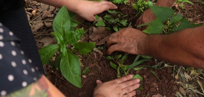 Tereos apoia projeto cultural de educação ambiental na APAE Olímpia