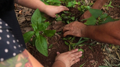 Tereos apoia projeto cultural de educação ambiental na APAE Olímpia