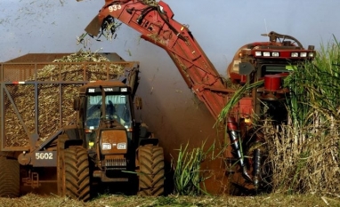 Timbro projeta exportar 40% mais açúcar em 2024 e inicia negócios com etanol