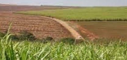 Levantamento inédito atesta 