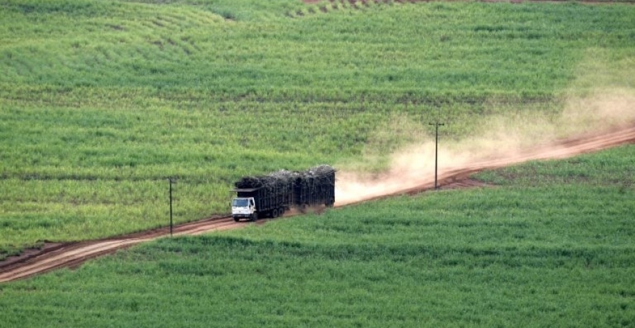 Caminhão carrega cana-de-açúcar. Divulgação