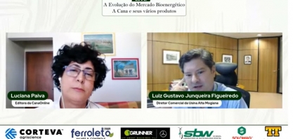 Carro elétrico no Brasil pode ser um “mico” no mercado automobilístico
