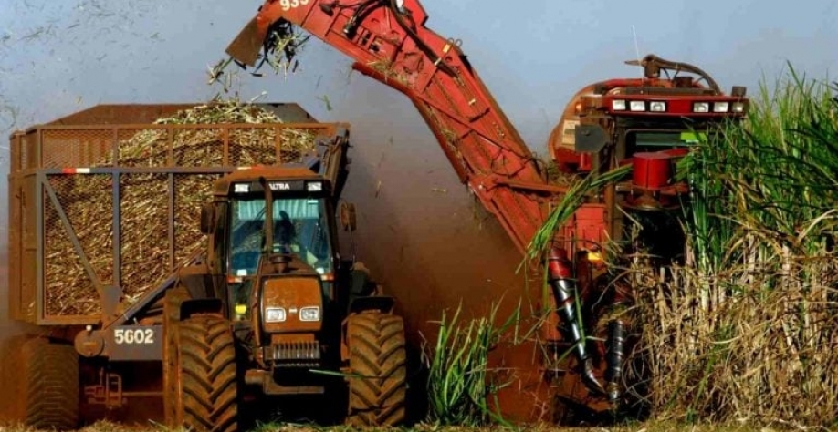 Por meio da joint venture, a Copersucar poderá comercializar no mercado livre a energia produzida a partir da biomassa de suas 37 usinas associadas. Paulo Whitaker/Reuters