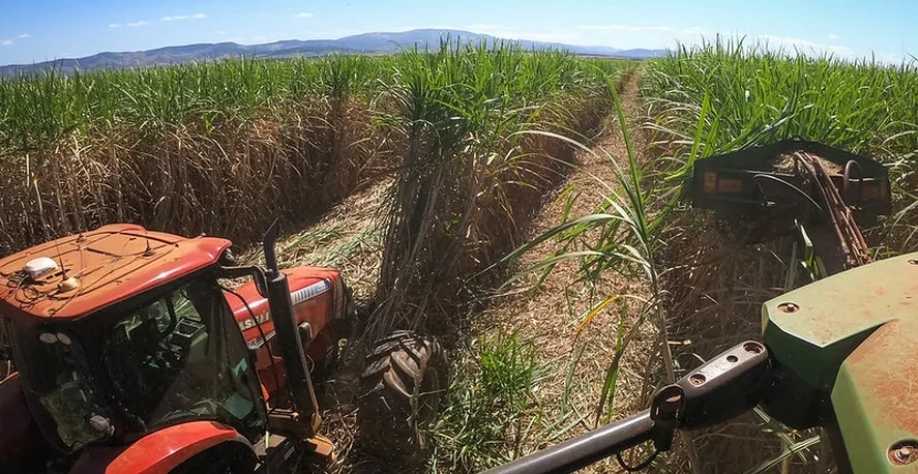Cana-de-açúcar é uma das culturas que mais contribuiu para elevar o VBP — Foto: Wenderson Araujo/CNA