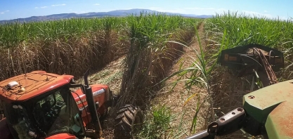 Valor bruto da produção ultrapassa R$ 1,14 trilhão