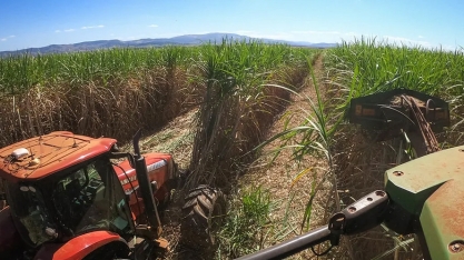 Valor bruto da produção ultrapassa R$ 1,14 trilhão