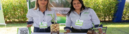 No 12º Cana Substantivo Feminino o IAC expôs tecnologias e ações que desenvolve na área de cana-de-açúcar