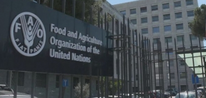 Óleos vegetais se valorizaram 8% em março alavancados por biocombustíveis