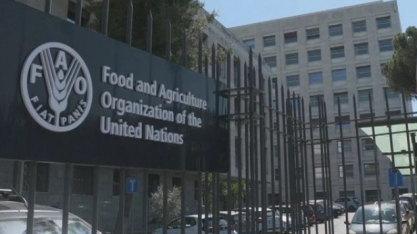 Óleos vegetais se valorizaram 8% em março alavancados por biocombustíveis