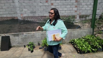 Jovens aprendizes rurais da Cooperativa Pindorama produzem mudas para abastecer os cooperados