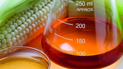 Ministério quer linha para cooperativas investirem em etanol de milho e avicultura