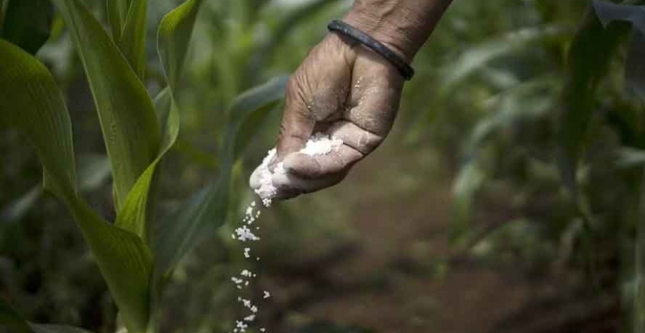 Produtores brasileiros devem ir às compras de fertilizantes na segunda metade do ano — Foto: Getty Images