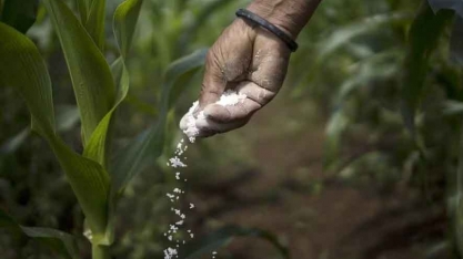 Preços dos fertilizantes tendem a recuar neste trimestre, diz StoneX