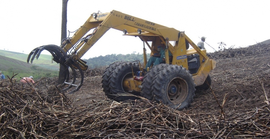 Safra 23/24 - Foto: Assessoria