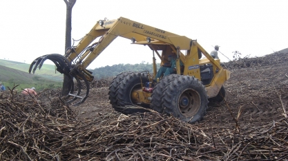 Safra 23/24 é finalizada em Alagoas